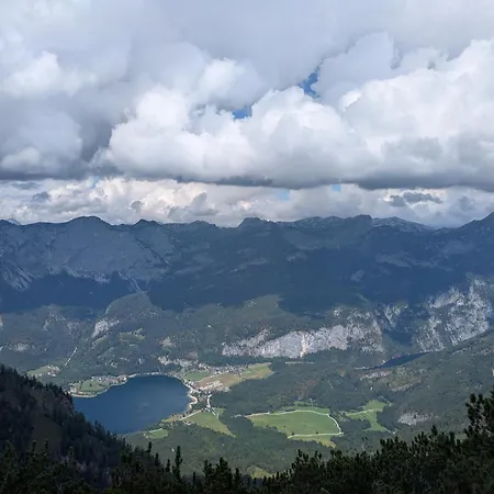 Schloemmer *
